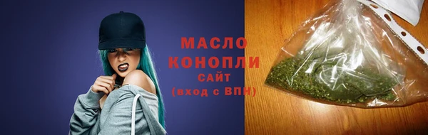 индика Пестово