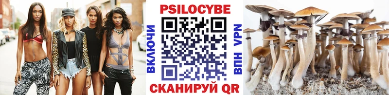 Купить закладки  Аша  Псилоцибиновые грибы MAGIC MUSHROOMS 